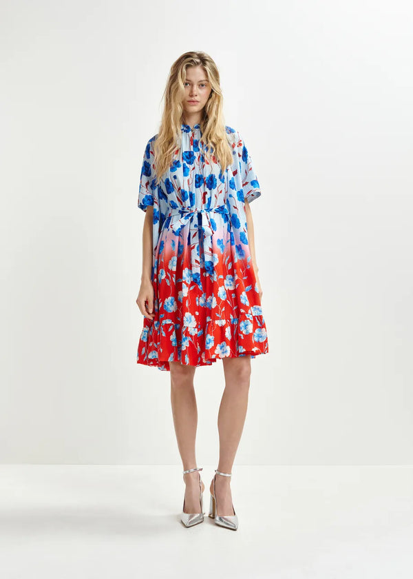 HELITROPE DRESS